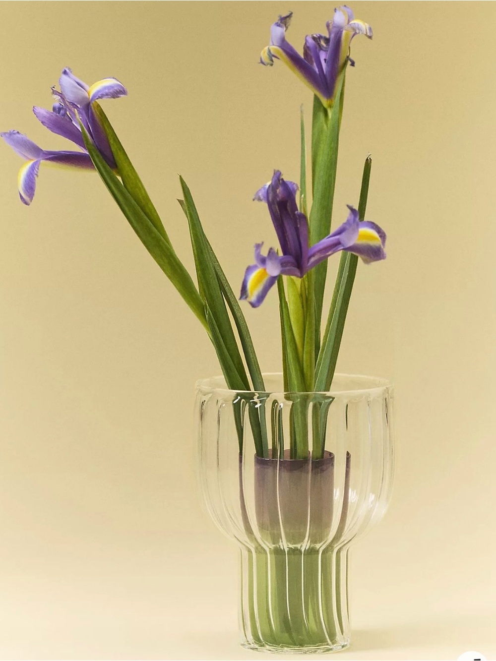 Anthropologie Lucia Neon Glass Vase Fluted Clear Outer Green & Purple Inside NWT